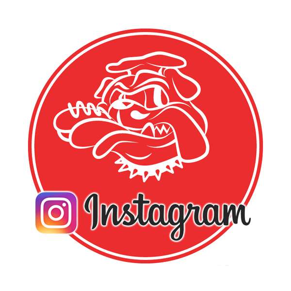 GB-DOG�����C���X�^�O����